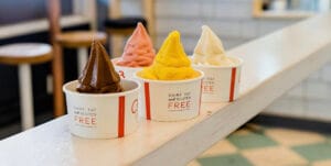 dairy-free-ice-cream-salty-hook-sandwich-shop